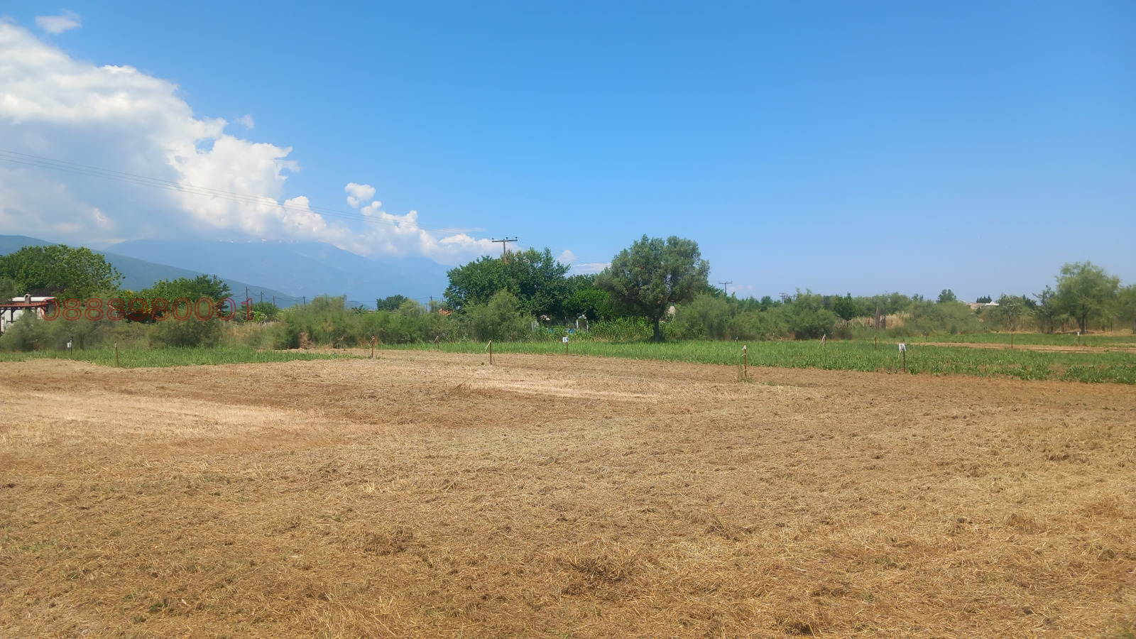 ������� ������ | Imot.bg � ����������� 7
