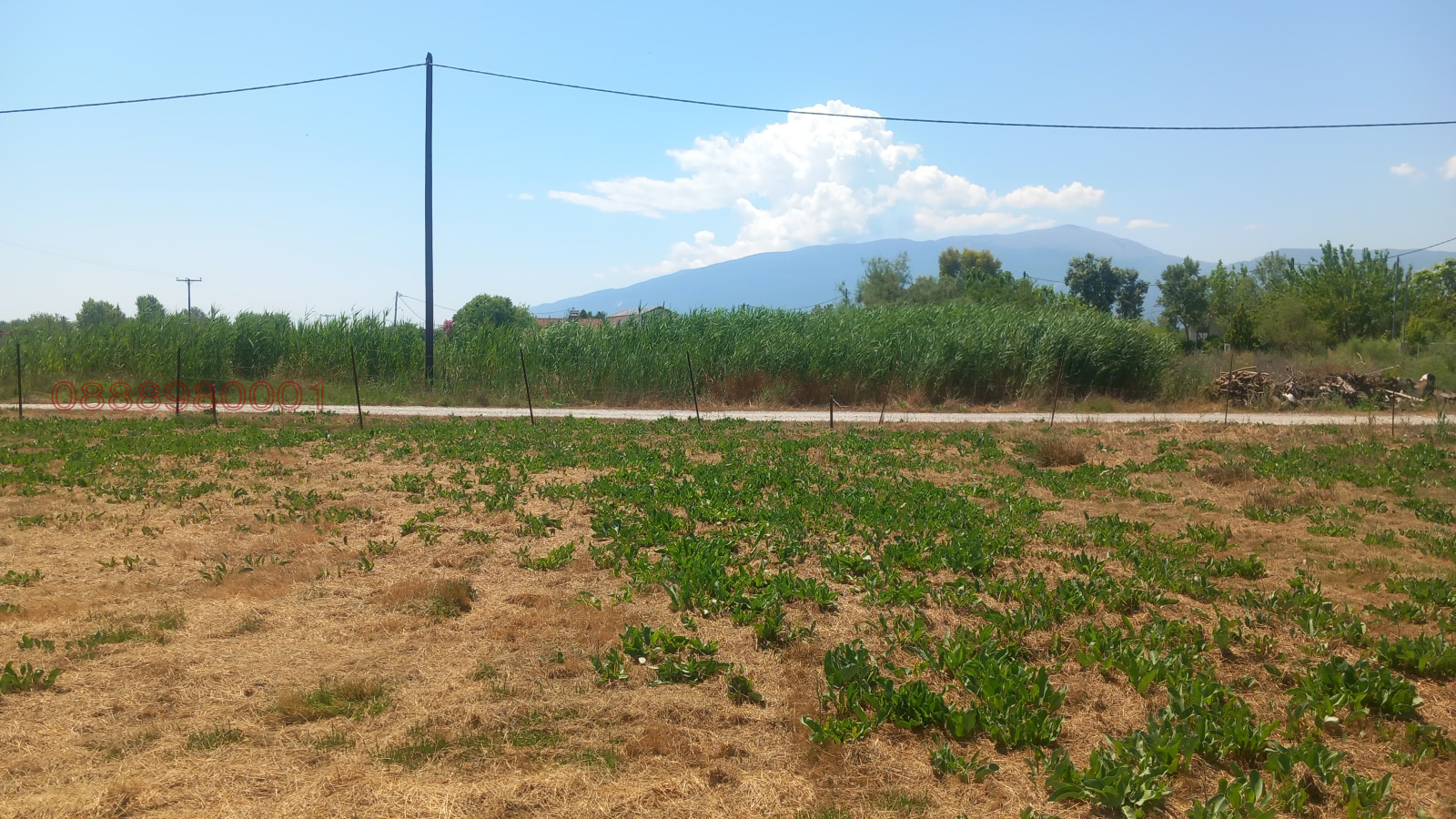 ������� ������ | Imot.bg � ����������� 5