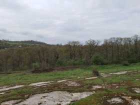 Земеделска земя с. Солник, област Варна