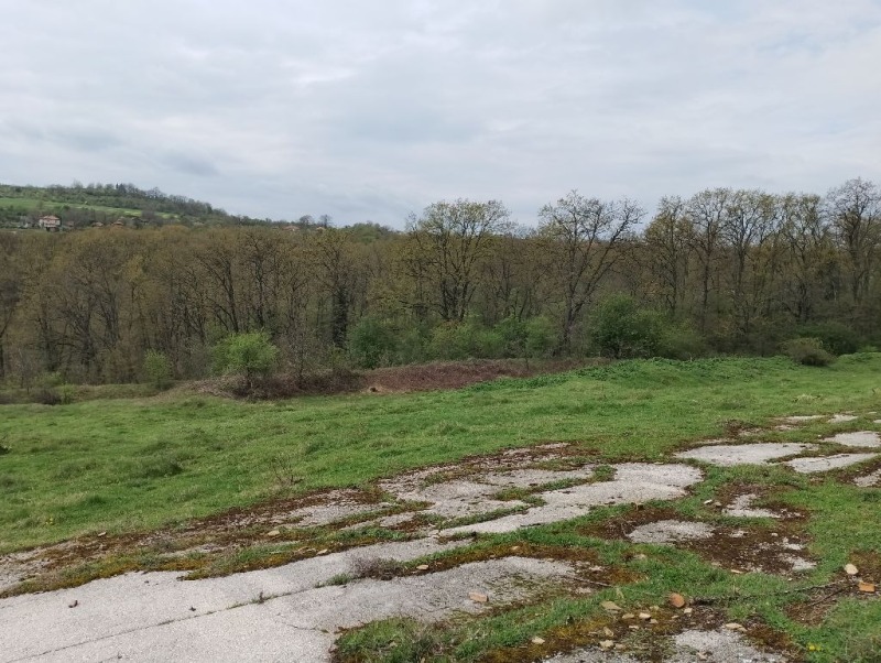 Продава  Земеделска земя област Варна , с. Солник , 9 дка | 26950952 - изображение [6]