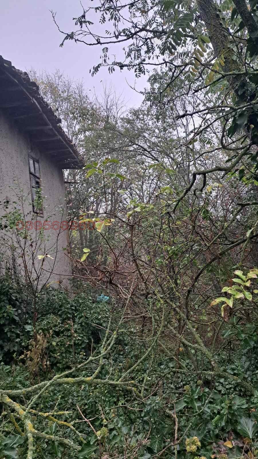 Продава КЪЩА, с. Оборище, област Варна, снимка 2 - Къщи - 56738875