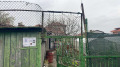 Продава КЪЩА, гр. Русе, Родина 4, снимка 2