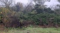 Продава КЪЩА, с. Оборище, област Варна, снимка 6