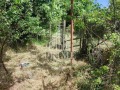 Продава  Парцел град Варна , м-т Боровец - юг , 600 кв.м | 95156099 - изображение [8]
