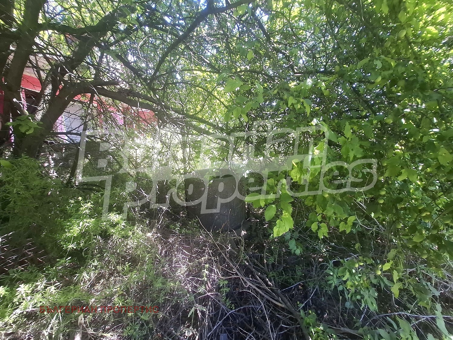 ������� ���� | Imot.bg � ����������� 12