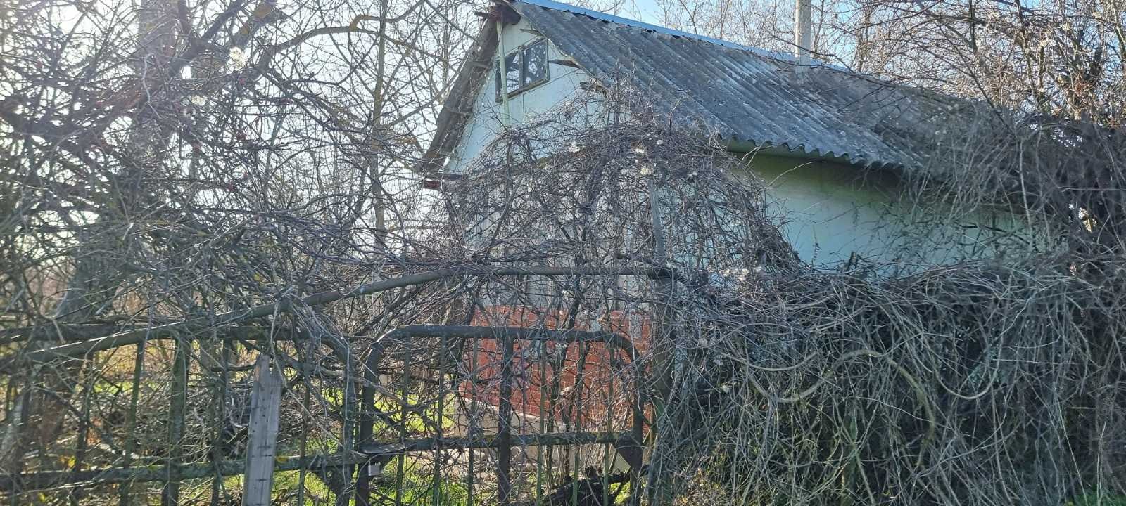 ������� ������ | Imot.bg � ����������� 4