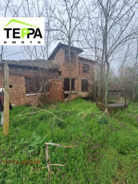 ������ ������� ����