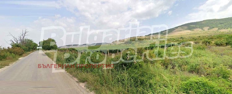Til salg  Jord region Plovdiv , Brestovitsa , 2.513 dka | 58589952 - billede [5]