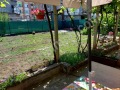 Продава КЪЩА, област Велико Търново, гр. Горна Оряховица • 360000 € • 95323196 — Holmes.bg