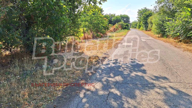 Продава ПАРЦЕЛ в област Добрич, с. Смин - 2177 кв.м / 12 810 € » 25 054.18 лв., БЪЛГЕРИАН ПРОПЕРТИС