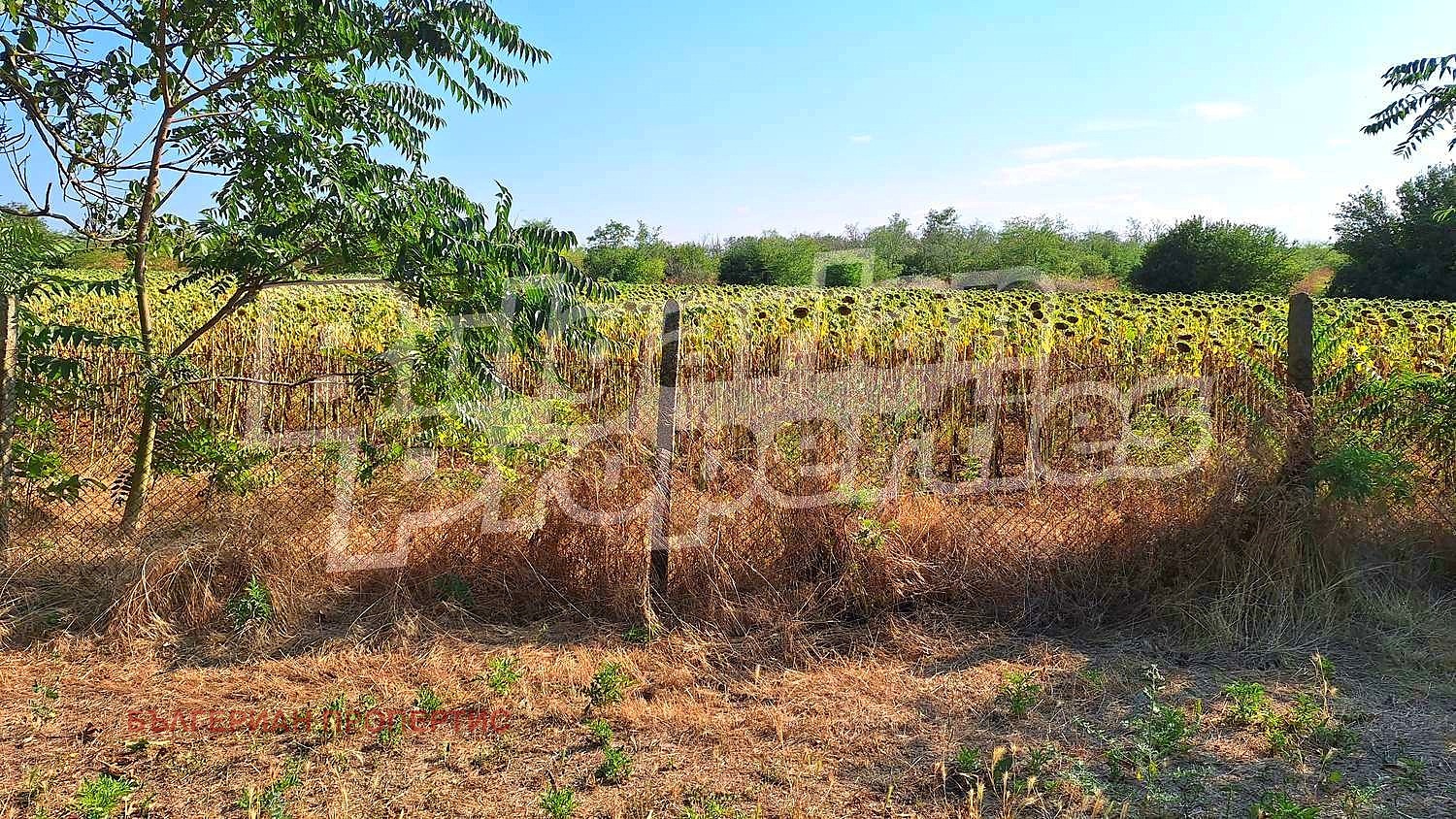 Продава ПАРЦЕЛ | Imot.bg — изображение 6