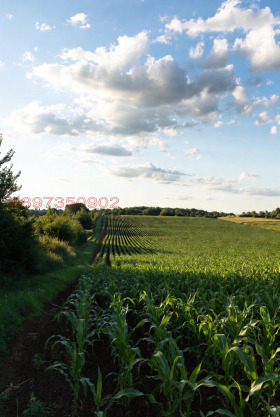 ����� ������� ���������� ����,�. ��������, ������ �����