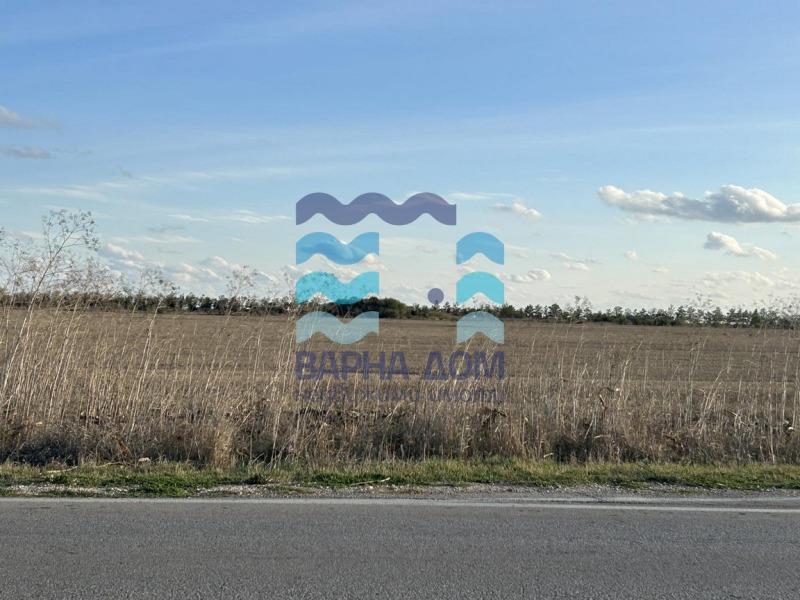 For Sale  Plot region Dobrich , Balchik , 15000 sq.m | 71471461 - image [4]