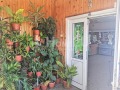 Продава МАГАЗИН, област Добрич, гр. Генерал Тошево • 155990 € • 51412630 — Holmes.bg
