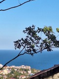 Продава ПАРЦЕЛ, град Варна, м-т Манастирски рид • 79990 € • 47795374 — Holmes.bg