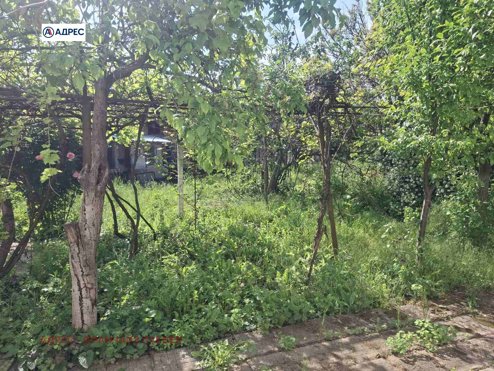 ������� ���� | Imot.bg � ����������� 3