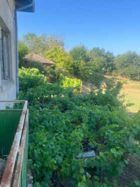 Dům Melnik, oblast Blagoevgrad