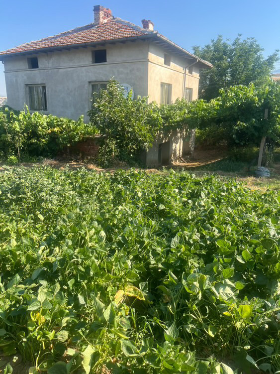 Na prodej  Dům oblast Blagoevgrad , Melnik , 1500 m2 | 23745829 - obraz [13]