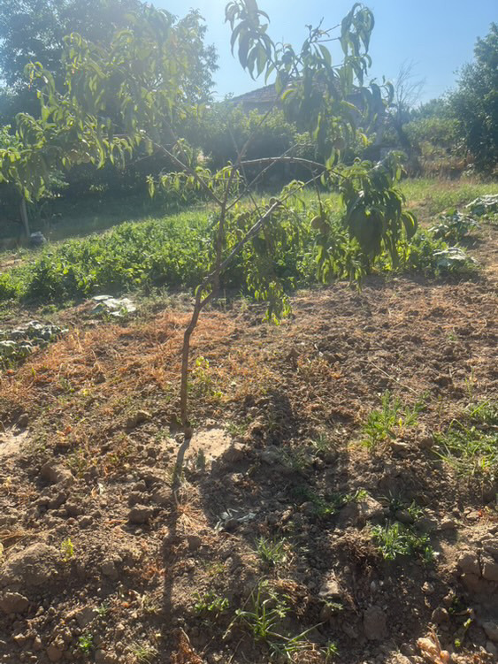 Na prodej  Dům oblast Blagoevgrad , Melnik , 1500 m2 | 23745829 - obraz [14]