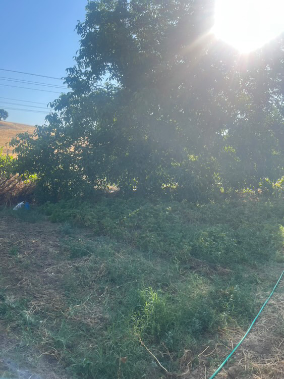 Na prodej  Dům oblast Blagoevgrad , Melnik , 1500 m2 | 23745829 - obraz [10]