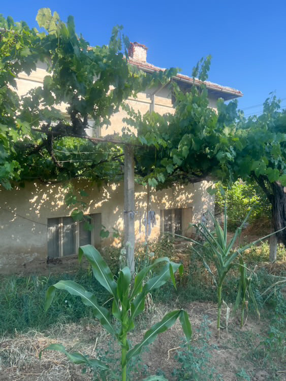 Na prodej  Dům oblast Blagoevgrad , Melnik , 1500 m2 | 23745829 - obraz [9]
