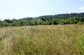 Продава ПАРЦЕЛ, с. Враниловци, област Габрово, снимка 4