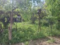 Продава  Къща област Плевен , с. Горни Дъбник , 200 кв.м | 69166094 - изображение [3]