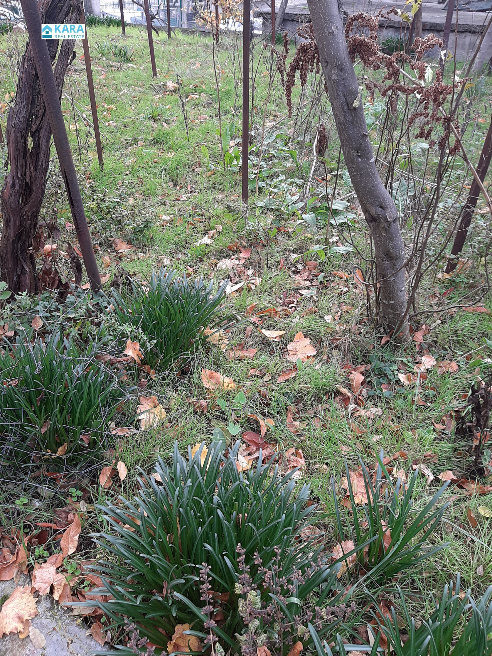 ������� ���� | Imot.bg � ����������� 3