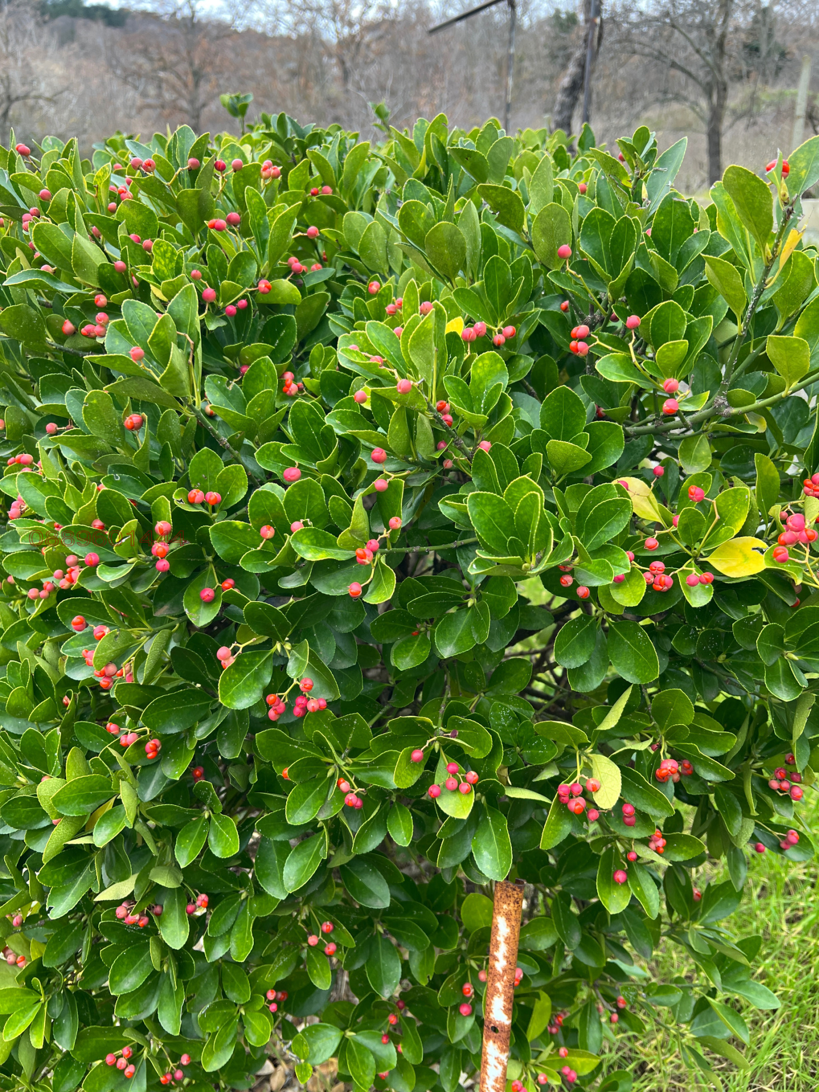 ������� ���� | Imot.bg � ����������� 17