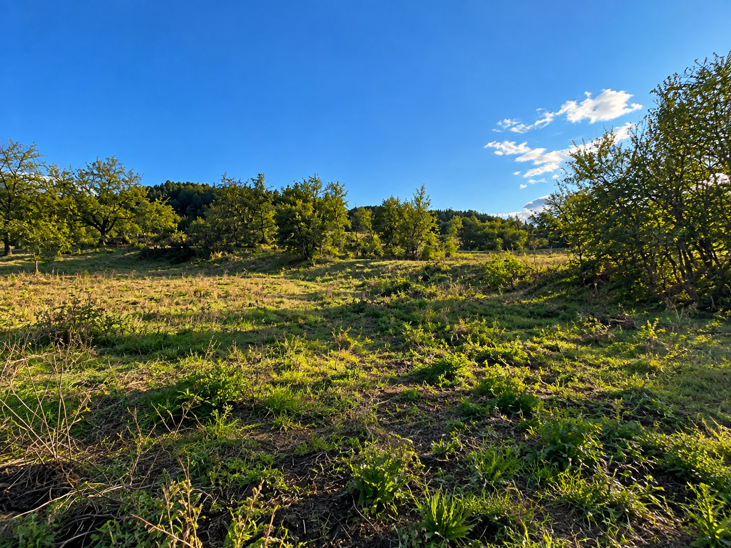 ������� ������ | Imot.bg � ����������� 6