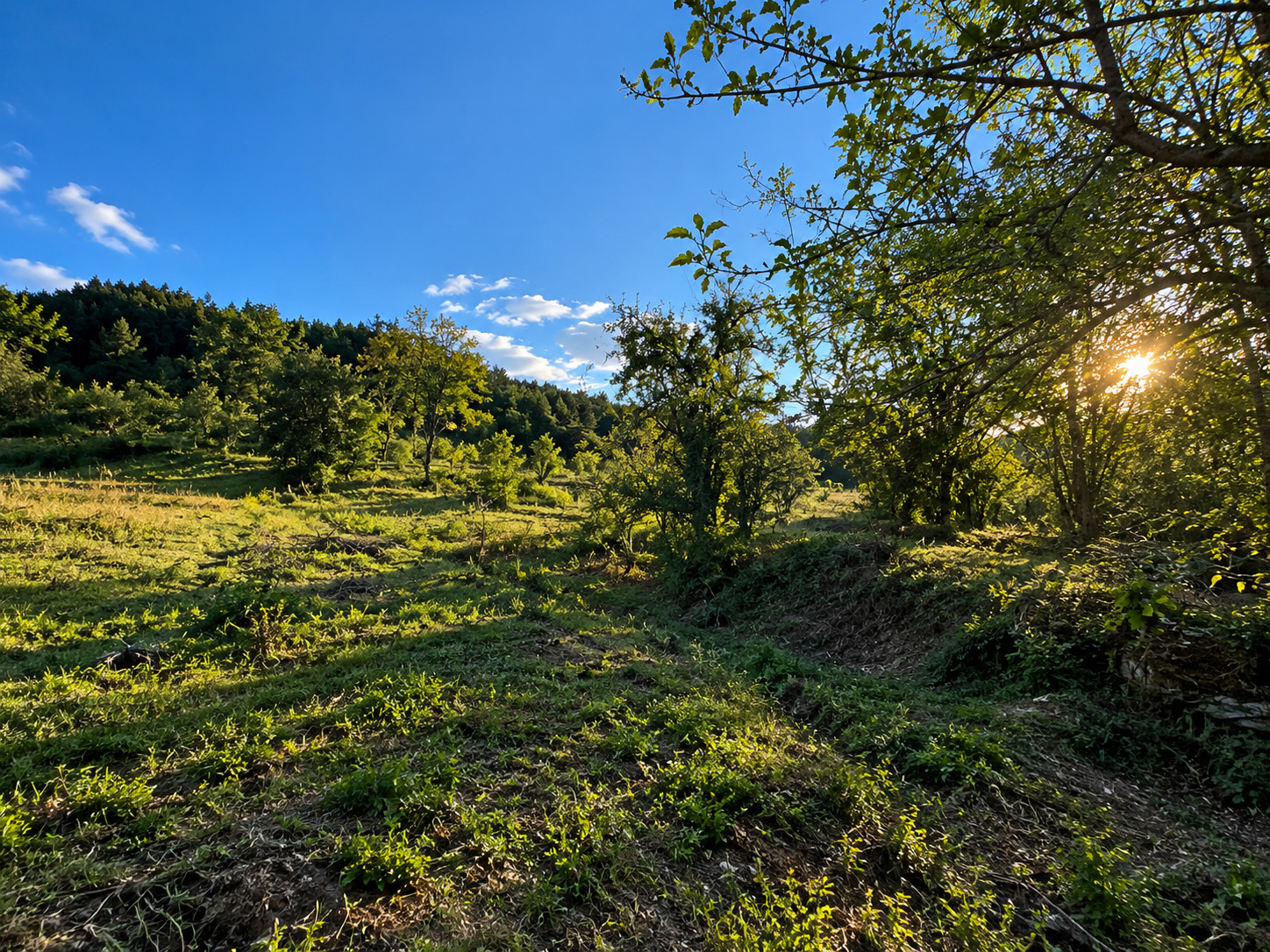������� ������ | Imot.bg � ����������� 5