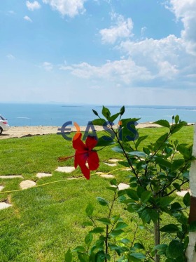 ����� ������� ����,��. ����� ����, ������ ������