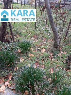 ����� ������� ����,���� ��������, ������