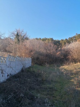 Parcelle Dalboki, région Stara Zagora 2