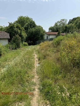 Plot Radulovtsi, region Sofia 5