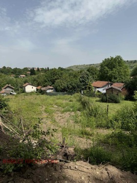 Grund Radulovtsi, region Sofia 2