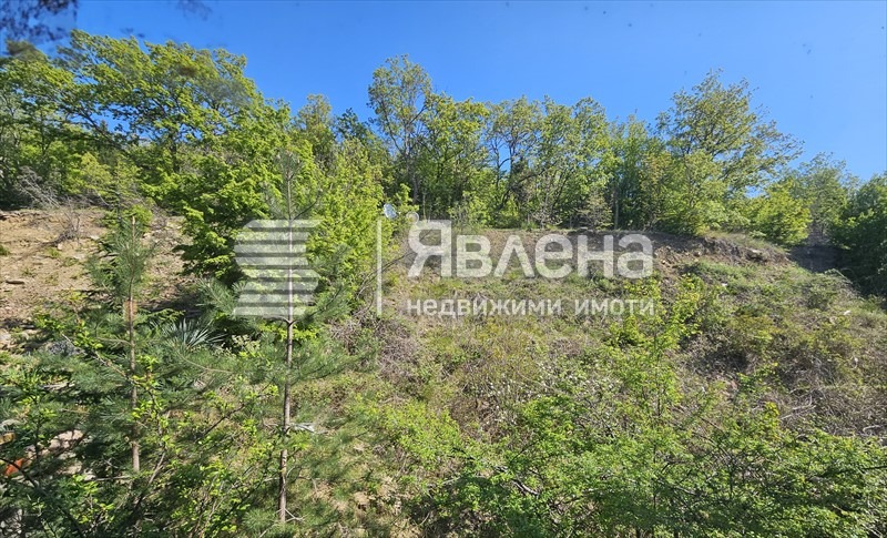 Продава 3-СТАЕН, гр. Свети Влас, област Бургас, снимка 10 - Апартаменти - 55125414