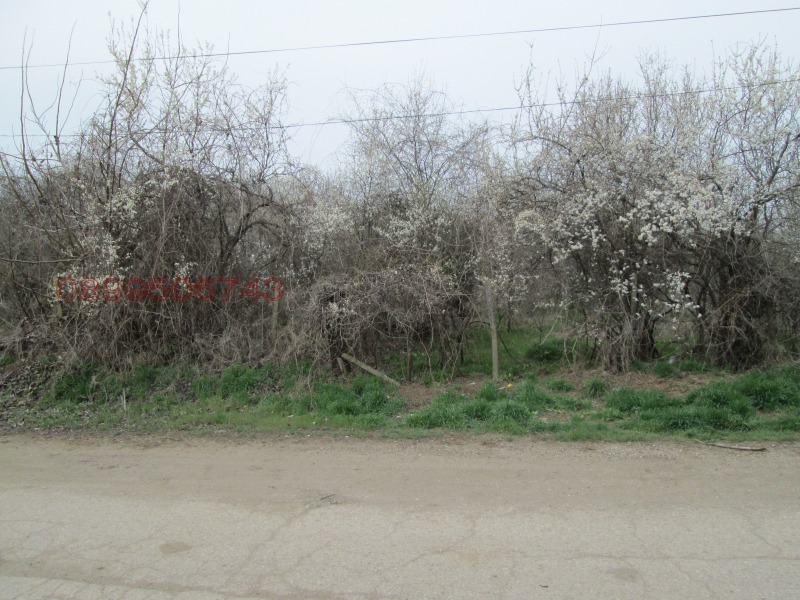 Продава ПАРЦЕЛ, с. Покрайна, област Видин, снимка 3 - Парцели - 52785665