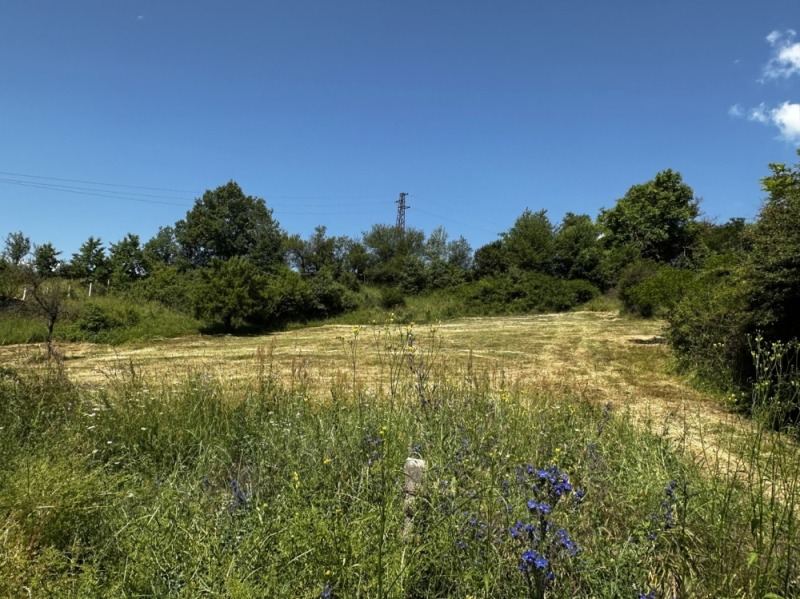 Til salg  Grund region Blagoevgrad , Godlevo , 2105 kvm | 92958311 - billede [5]