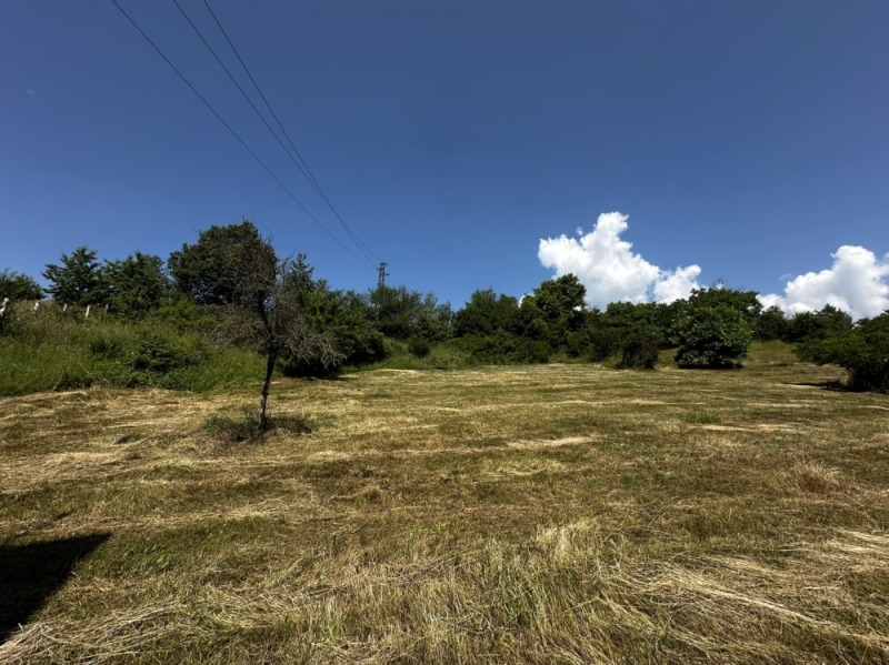 Til salg  Grund region Blagoevgrad , Godlevo , 2105 kvm | 92958311 - billede [13]