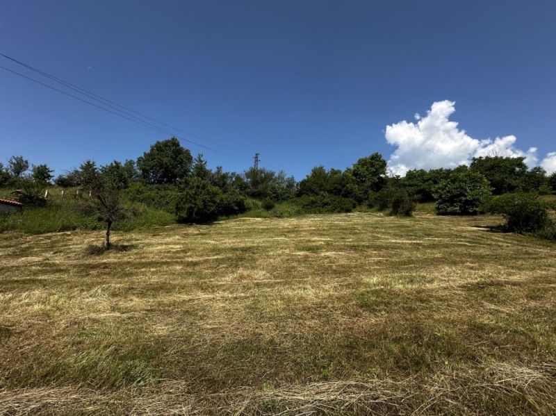 Til salg  Grund region Blagoevgrad , Godlevo , 2105 kvm | 92958311 - billede [11]