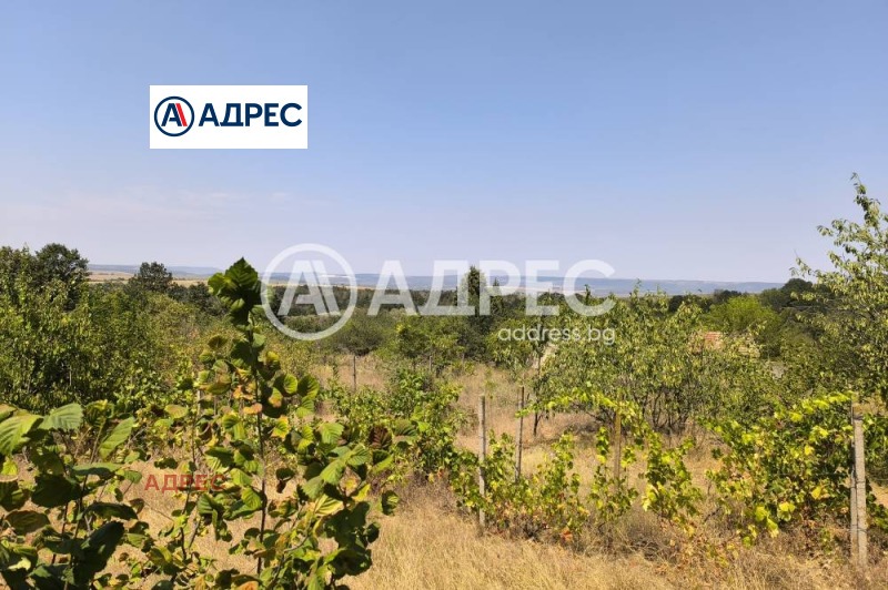 Na prodej  Spiknutí Varna , Zvezdica , 600 m2 | 99972324 - obraz [4]