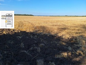 ����� ������� ���������� ����,�. ����������, ������ ������