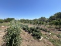 Продава КЪЩА, област Добрич, с. Видно • 24500 € • 28019527 — Holmes.bg