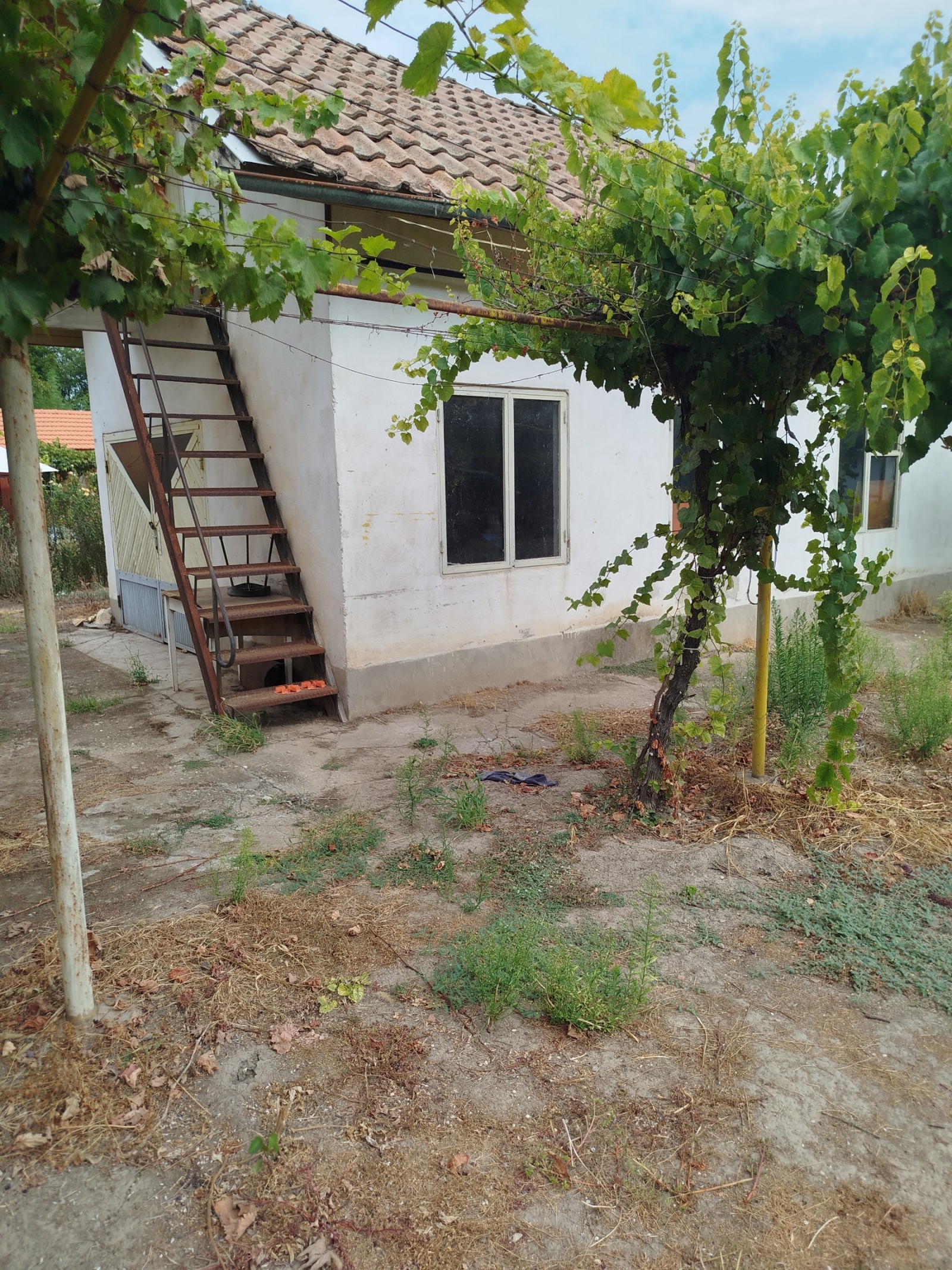 ������� ���� | Imot.bg � ����������� 13