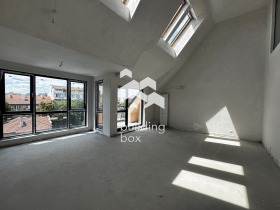 ����� ������� �������,���� �����, ������