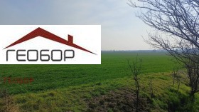 ����� ������� ���������� ����,��. ���������, ������ �����