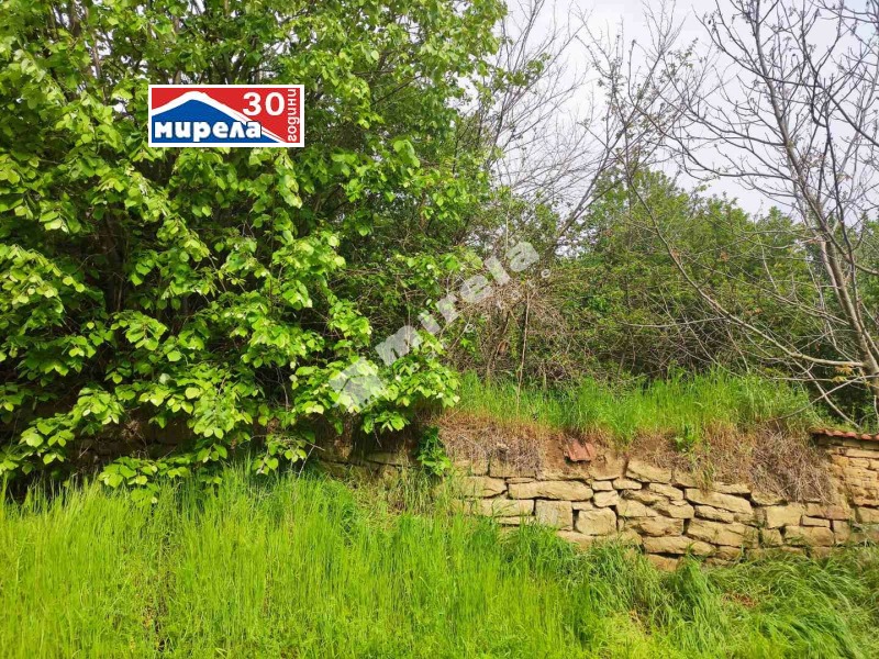Продава  Къща област Велико Търново , с. Сливовица , 160 кв.м | 36528418 - изображение [4]