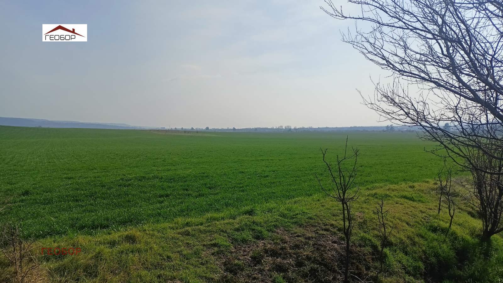 Продава ЗЕМЕДЕЛСКА ЗЕМЯ, гр. Игнатиево, област Варна