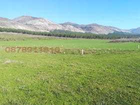 ����� ������� ���������� ����,��. ��������, ������ ������